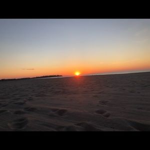 Meet your Posher, Briar